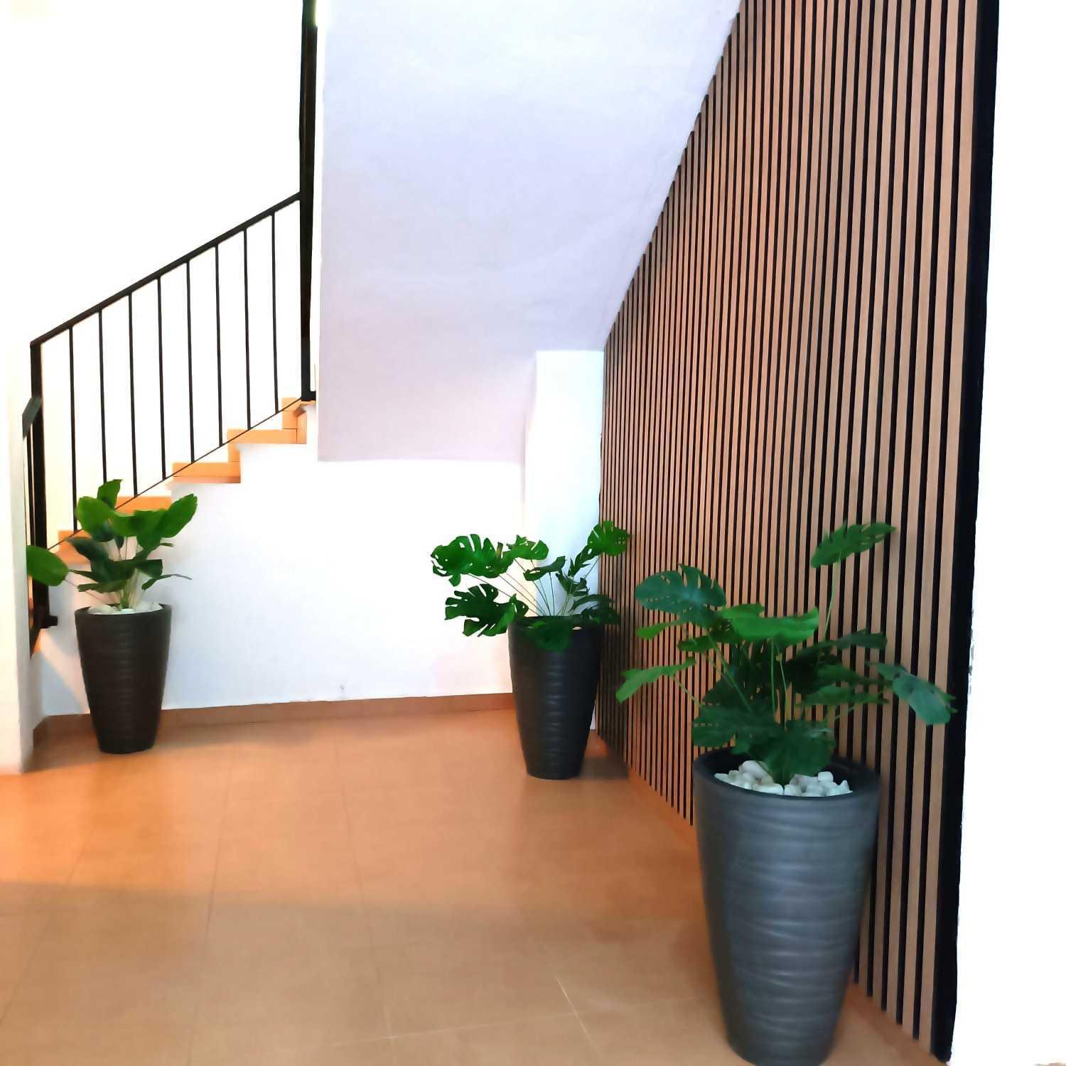 Apartamentos Larios Málaga Exteriör bild