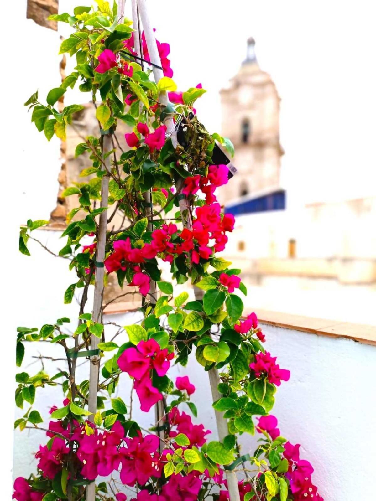 Apartamentos Larios Málaga Exteriör bild